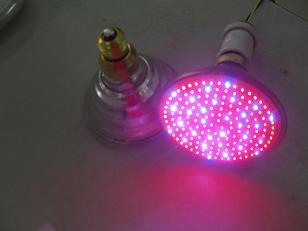 LED PAR38植物生长灯泡 孝感捷能特种光源的创新实践